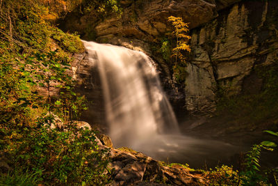 Scenic view of waterfall in forest