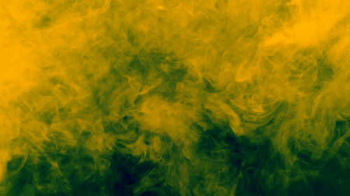 Full frame shot of yellow flowering plants