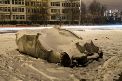 View of horse on sand