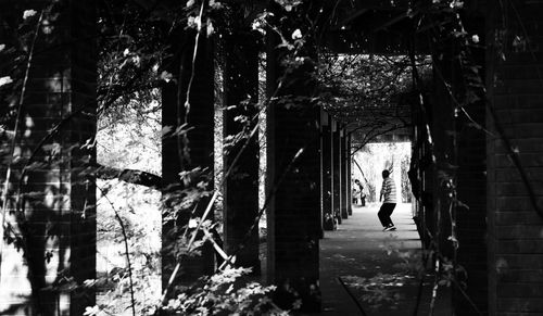 Man standing by tree in building