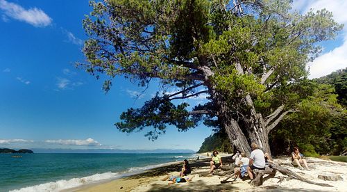 Scenic view of beach against clear sky
