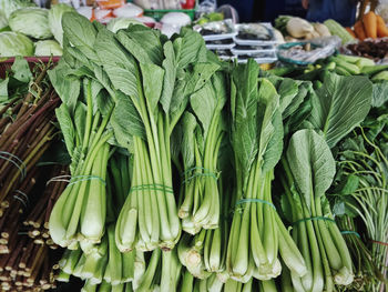 Pile of tied fresh green vegetables for sale