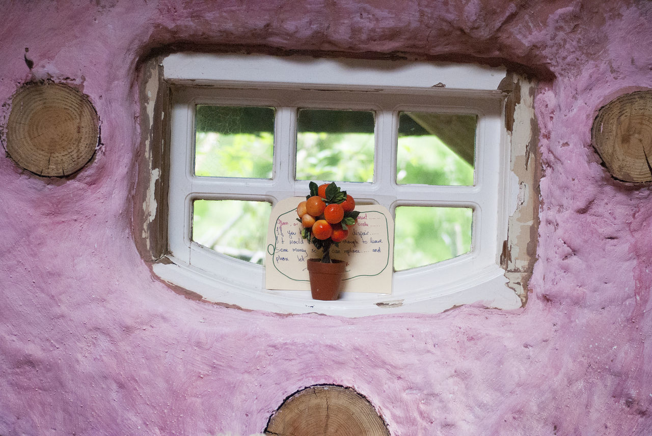 window, no people, flower, day, plant, flowering plant, architecture, glass - material, built structure, food and drink, freshness, transparent, nature, food, building, outdoors, house, wall - building feature, close-up