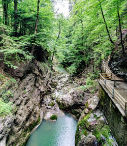 Stream flowing through rocks in forest