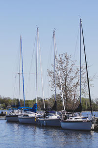 Sailboats moored in river against clear sky