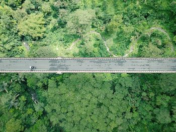 High angle view of road amidst trees on field