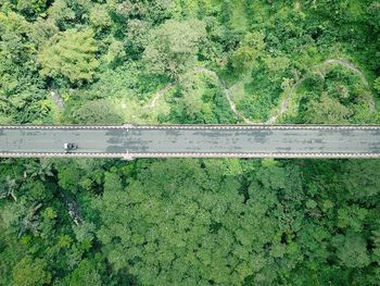 High angle view of road amidst trees on field