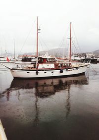 Sailboats in marina