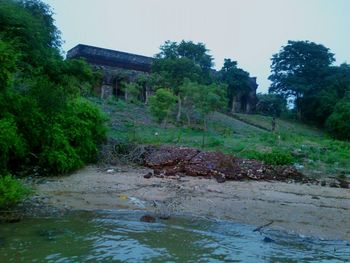 Scenic view of river with trees in background