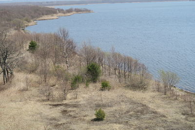 High angle view of sea shore