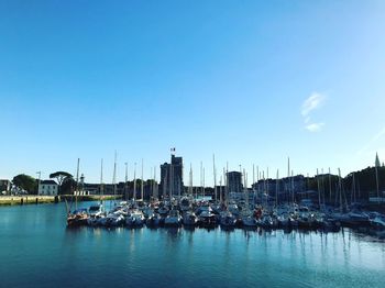 Sailboats in marina