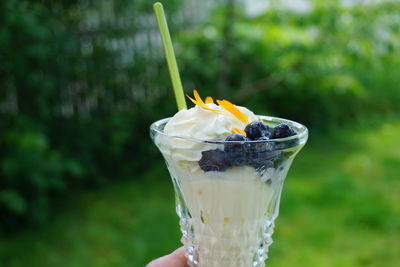 Close-up of hand holding ice cream and blueberries in glass outdoors