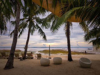 Palm trees on beach against sky