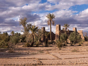 An old kasbah in an oasis near skoura, morocco