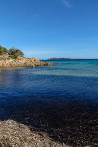 Scenic view of sea against clear blue sky