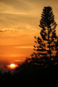 Silhouette tree against orange sky