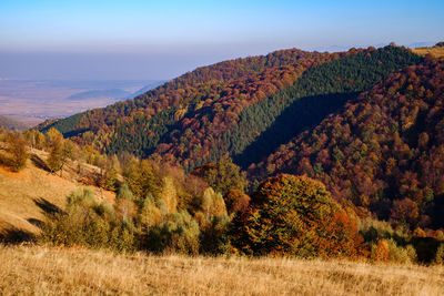 Scenic view of landscape against sky during autumn