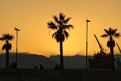 Silhouette palm trees on beach against sky during sunset