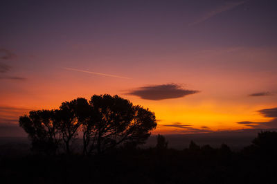 Silhouette trees on landscape against sky at sunset