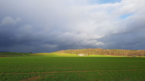 Scenic view of field against sky