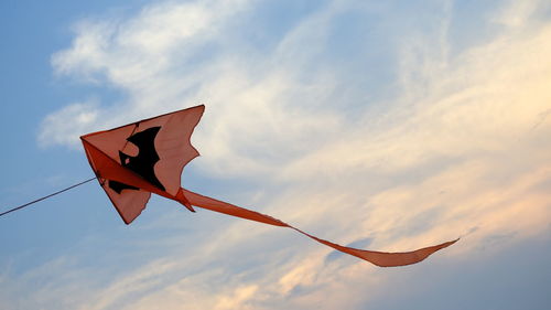 Low angle view of a bird flying against sky