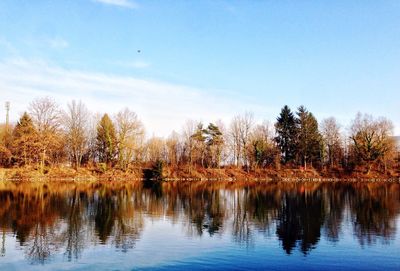 Scenic view of lake by trees against sky