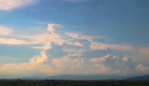 Bird flying against sky