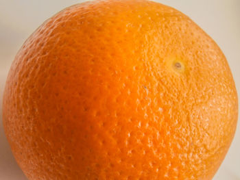 Close-up of orange over white background