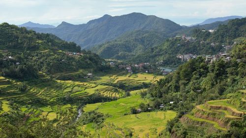 Scenic view of agricultural field and mountains against sky