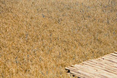 Full frame shot of wooden bench on field