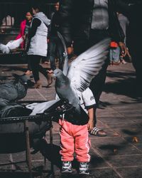 Rear view of people standing on street