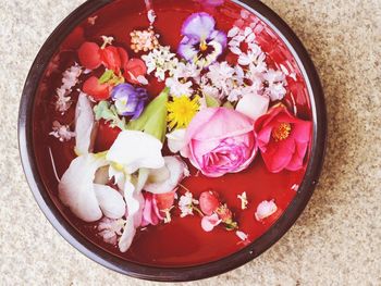 Directly above shot of flowers