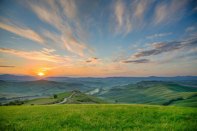 Scenic view of field against sky during sunset