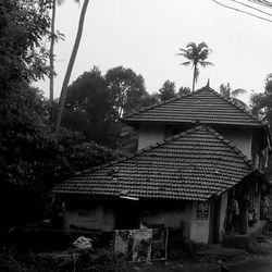 Houses with trees in background