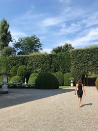 Rear view of woman standing by plants against sky