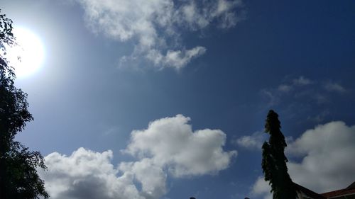 Low angle view of trees against cloudy sky