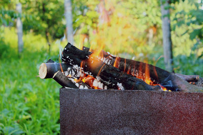 Close-up of fire on barbecue grill