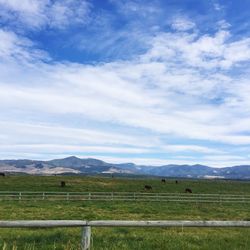 Scenic view of grassy field against cloudy sky