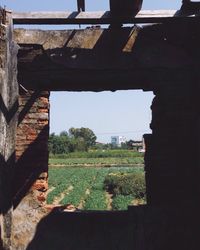 Built structure on field