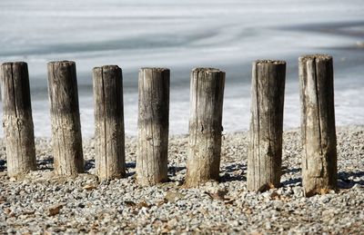 Wooden posts on beach