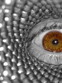 Extreme close up of human eye