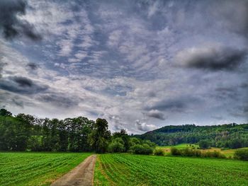 Scenic view of agricultural field against sky