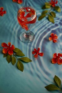 High angle view of drink on table