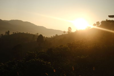 sunrise