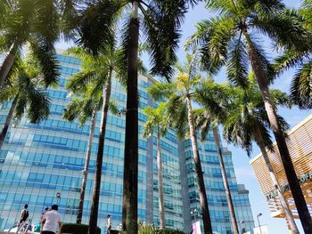 Low angle view of palm trees against sky