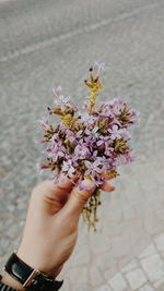 Close-up of hand holding purple flower bouquet