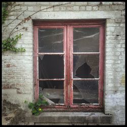 Brick wall with windows