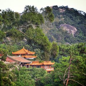 House amidst trees and mountains in forest