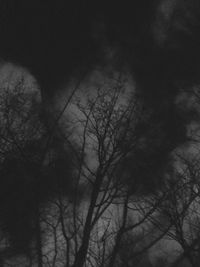 Low angle view of bare trees against sky