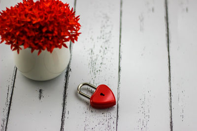 High angle view of red flowers on table